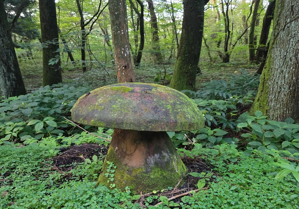 Large volcanic rock covered with moss inside Saryeoni Forest, Jeju Island
